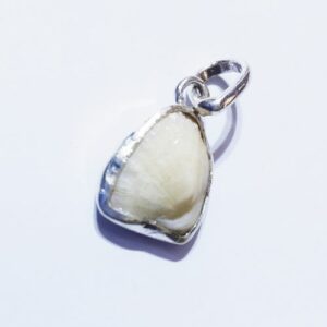 Abhimantrit Mach Mani (Fish Pearl) - in Silver Locket  5 Carat - Image 3