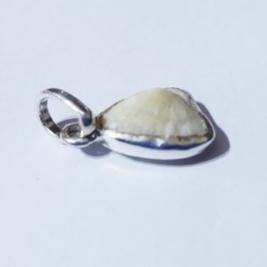 Abhimantrit Mach Mani (Fish Pearl) - in Silver Locket  5 Carat - Image 4