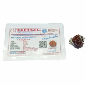 Abhimantrit Lab- Certified 5 Mukhi Rudraksha in Silver locket - Image 5