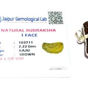 Abhimantrit 1 Mukhi Rudraksha Beads in Silver Pendant & Lab- Certified - Image 7