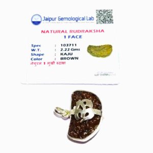 Abhimantrit 1 Mukhi Rudraksha Beads in Silver Pendant & Lab- Certified - Image 2