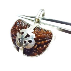Abhimantrit 1 Mukhi Rudraksha Beads in Silver Pendant & Lab- Certified - Image 3