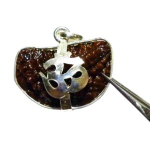 Abhimantrit 1 Mukhi Rudraksha Beads in Silver Pendant & Lab- Certified - Image 6