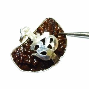 Abhimantrit 1 Mukhi Rudraksha Beads in Silver Pendant & Lab- Certified - Image 8
