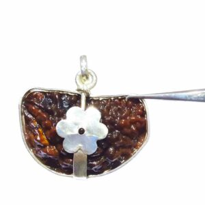 Abhimantrit 1 Mukhi Rudraksha Beads in Silver Pendant & Lab- Certified - Image 9