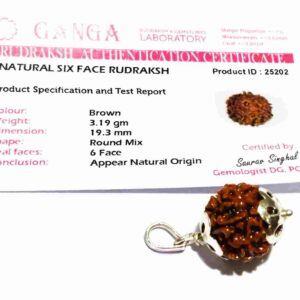Lab- Certified 6 Mukhi Rudraksha bead in Silver Pendant & Abhimantrit - Image 2