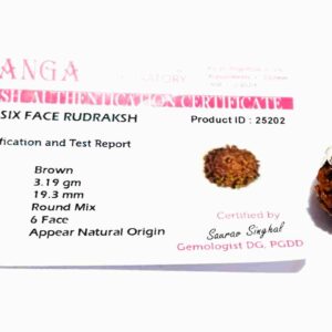 Lab- Certified 6 Mukhi Rudraksha bead in Silver Pendant & Abhimantrit - Image 6