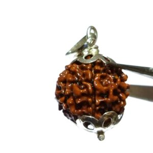 Lab- Certified 6 Mukhi Rudraksha bead in Silver Pendant & Abhimantrit - Image 5