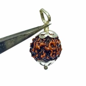 Abhimantrit Lab- Certified 5 Mukhi Rudraksha in Silver locket - Image 2