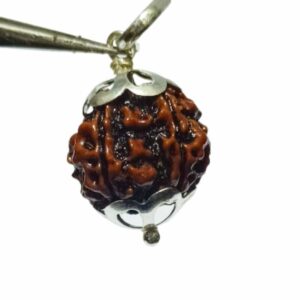 Abhimantrit Lab- Certified 5 Mukhi Rudraksha in Silver locket - Image 4