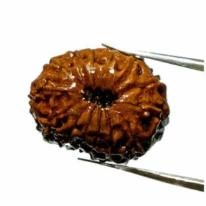 Abhimantrit Indonesian 14 Mukhi rudraksha 21.70mm with X-ray report - Image 3