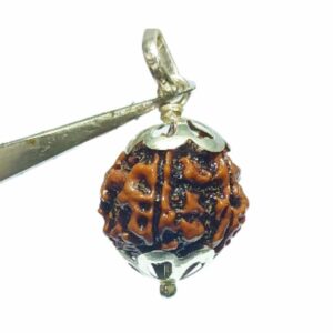 Abhimantrit Lab- Certified 5 Mukhi Rudraksha in Silver locket - Image 3