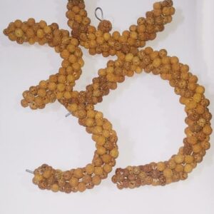 Original Om (ॐ) Rudraksha wall Fashion- Genuine & Original Rudraksha - Image 1