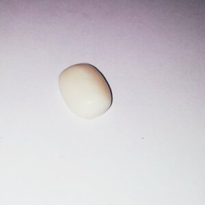 Certified White Opal Stone, Natural & Original Gemstone - 7.60 Carat - Image 3