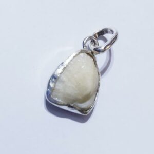 Abhimantrit Natural Machli Ki Mani Lab-10 Carat (In Silver Locket) Approx - Image 2