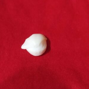 Natural Machli Ki Mani, Abhimantrit- 10 Carat - Image 2