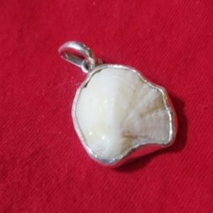 Abhimantrit Natural Mach Mani & Lab- 15 Carat (In Silver Locket) - Image 1