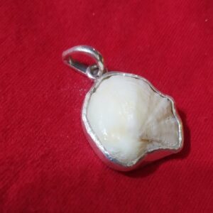 Abhimantrit Natural Mach Mani & Lab- 15 Carat (In Silver Locket) - Image 2