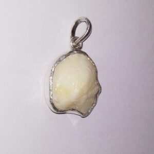 Abhimantrit Natural Mach Mani & Lab- 15 Carat (In Silver Locket) - Image 3