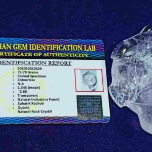 Abhimantrit Indian Sphatik Kachua (Tortoise) & Lab Certified - 73 Gram - Image 2