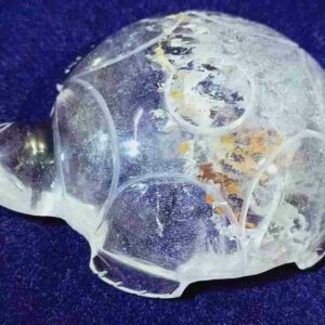 Abhimantrit Indian Sphatik Kachua (Tortoise) & Lab Certified -79 Gram - Image 2