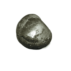 Very Rare Laxmi Narayan Shaligram 100% Genuine – 79Gram (Lakshmi narayan) - Image 4