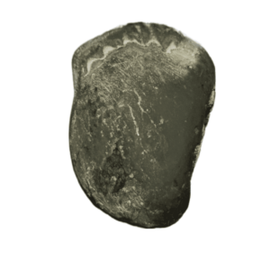 Very Rare Laxmi Narayan Shaligram 100% Genuine – 151Gram (Lakshmi narayan) - Image 5