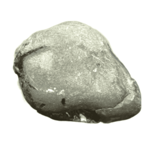 Very Rare Laxmi Narayan Shaligram 100% Genuine – 268Gram (Lakshmi narayan) - Image 2