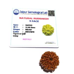 Abhimantrit Certified 9 Mukhi Rudraksha Bead & Genuine- 3.50 Gram - Image 6