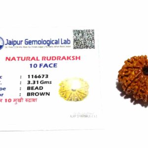 Abhimantrit 10 Mukhi Rudraksha Bead & Genuine- 3.4 Gram Approx - Image 2
