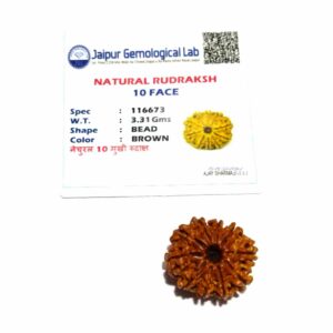 Abhimantrit 10 Mukhi Rudraksha Bead & Genuine- 3.4 Gram Approx - Image 4