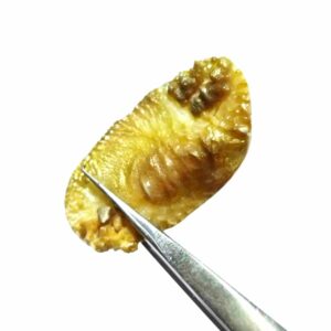 Abhimantrit Natural & Authentic Shukra Mani 20 Carat - Original - Image 3