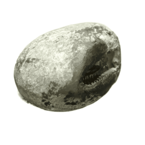 Very Rare Laxmi Narayan Shaligram 100% Genuine – 122 Gram (Lakshmi narayan) - Image 5