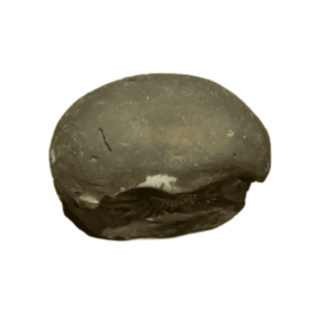 Very Rare Laxmi Narayan Shaligram 100% Genuine – 71Gram (Lakshmi narayan) - Image 4