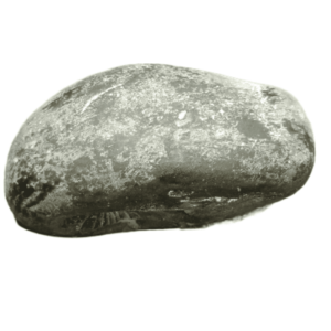Very Rare Laxmi Narayan Shaligram 100% Genuine – 229Gram (Lakshmi narayan) - Image 3