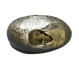 Very Rare Laxmi Narayan Shaligram 100% Genuine – 271Gram (Lakshmi narayan) - Image 3