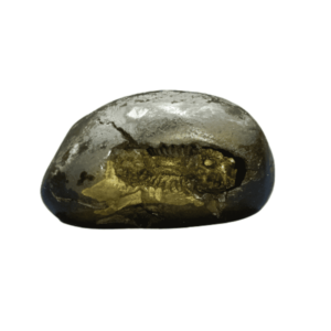 Very Rare Laxmi Narayan Shaligram 100% Genuine – 189Gram (Lakshmi narayan) - Image 1