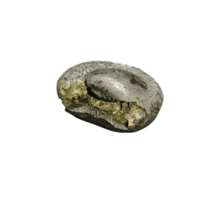 Very Rare Laxmi Narayan Shaligram 100% Genuine – 232Gram (Lakshmi narayan) - Image 4