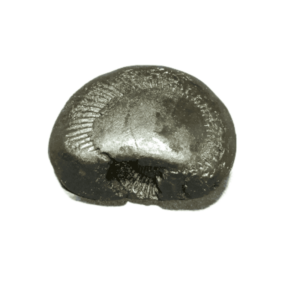 Very Rare Laxmi Narayan Shaligram 100% Genuine – 79Gram (Lakshmi narayan) - Image 2