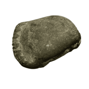 Very Rare Laxmi Narayan Shaligram 100% Genuine – 151Gram (Lakshmi narayan) - Image 4