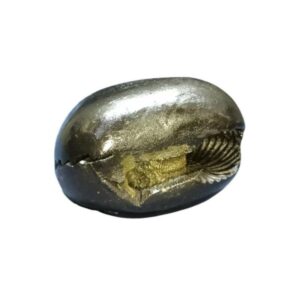 Very Rare Laxmi Narayan Shaligram 100% Genuine – 209 Gram (Lakshmi narayan) - Image 4