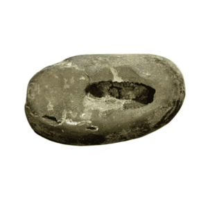 Very Rare Laxmi Narayan Shaligram 100% Genuine – 229Gram (Lakshmi narayan) - Image 4