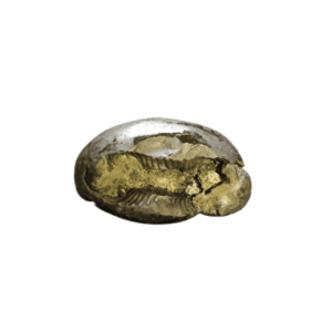 Very Rare Laxmi Narayan Shaligram 100% Genuine – 232Gram (Lakshmi narayan) - Image 5
