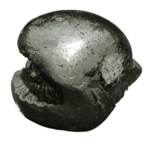 Very Rare Laxmi Narayan Shaligram 100% Genuine – 195Gram (Lakshmi narayan) - Image 4