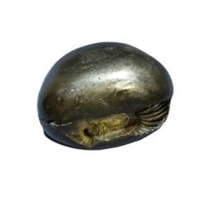 Very Rare Laxmi Narayan Shaligram 100% Genuine – 209 Gram (Lakshmi narayan) - Image 5