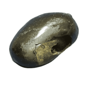 Very Rare Laxmi Narayan Shaligram 100% Genuine – 271Gram (Lakshmi narayan) - Image 2