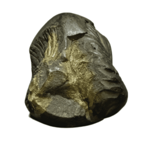 Very Rare Laxmi Narayan Shaligram 100% Genuine – 295Gram (Lakshmi narayan) - Image 5