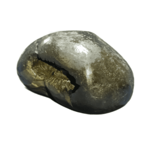 Very Rare Laxmi Narayan Shaligram 100% Genuine – 189Gram (Lakshmi narayan) - Image 4