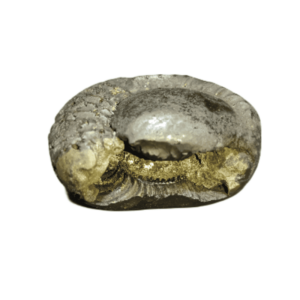 Very Rare Laxmi Narayan Shaligram 100% Genuine – 232Gram (Lakshmi narayan) - Image 1