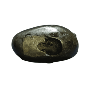 Very Rare Laxmi Narayan Shaligram 100% Genuine – 271Gram (Lakshmi narayan) - Image 4